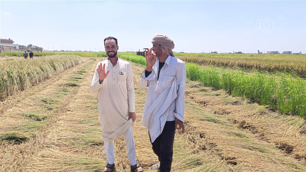 مزارعين جنوب بورسعيد، فيتو