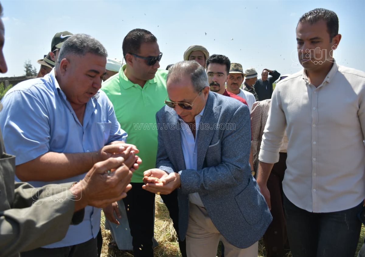 محافظ بورسعيد يشهد موسم حصاد الأرز، فيتو&nbsp;