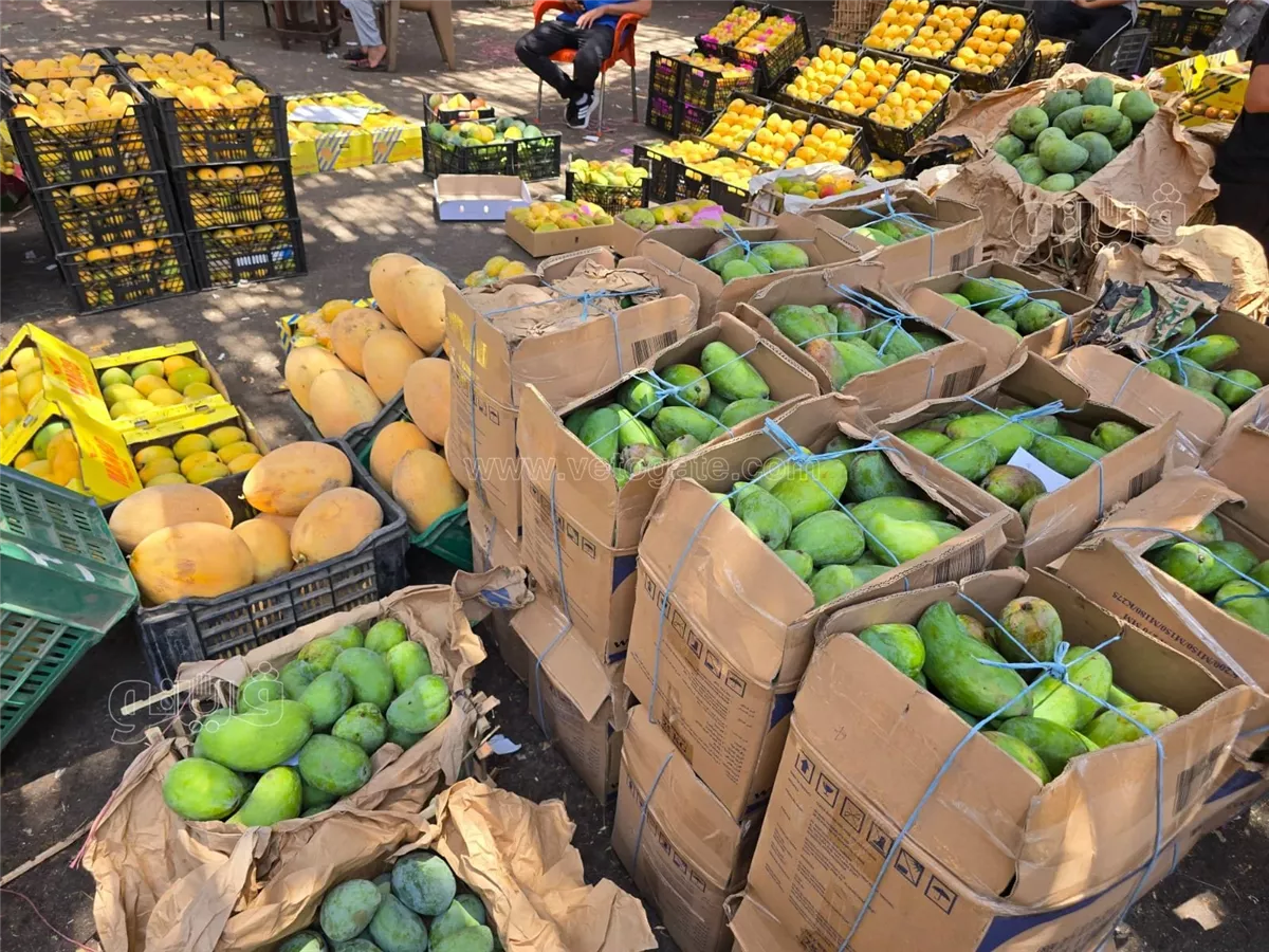 <strong>سعر المانجو اليوم في سوق العبور، فيتو</strong>