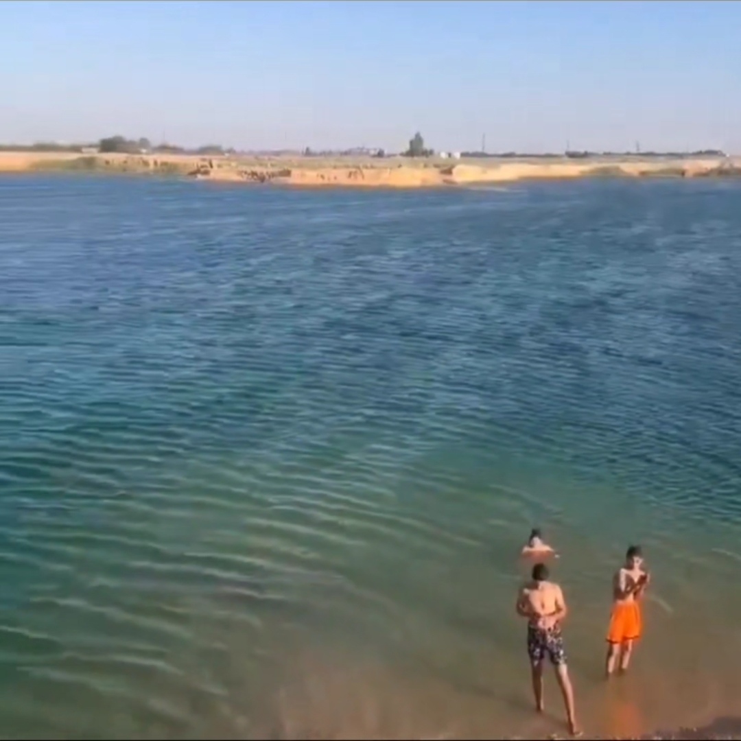بحيرة البهنسا في المنيا، فيتو&nbsp;