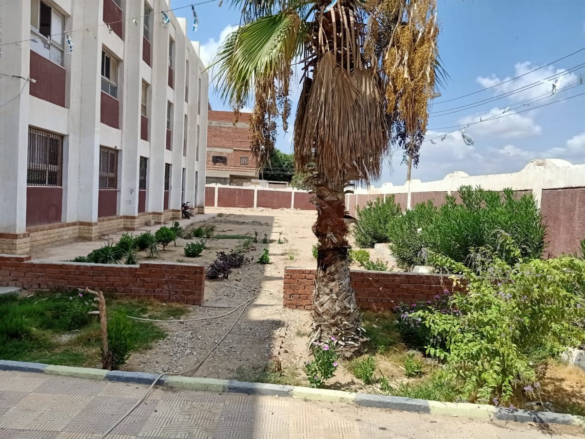 مدارس الإسماعيلية، فيتو