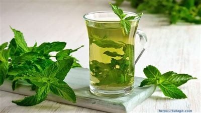 فوائد النعناع للصحة