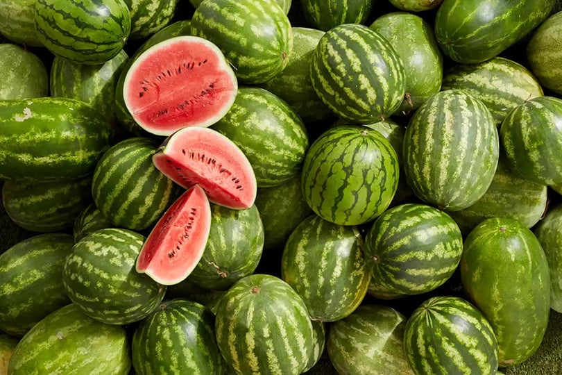 <strong>سعر الفاكهة اليوم</strong>