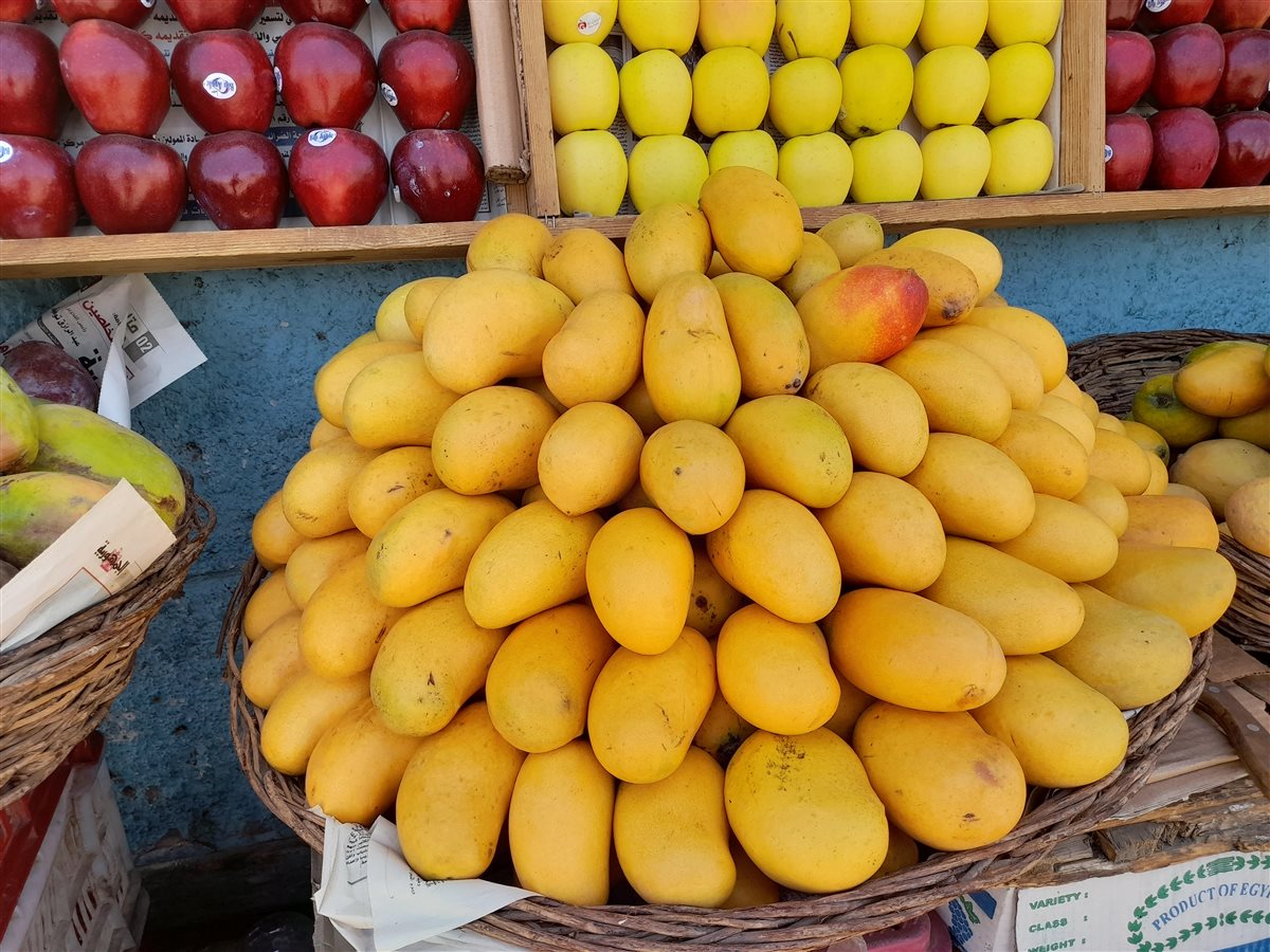 <strong>سعر المانجو اليوم في سوق العبور، فيتو</strong>