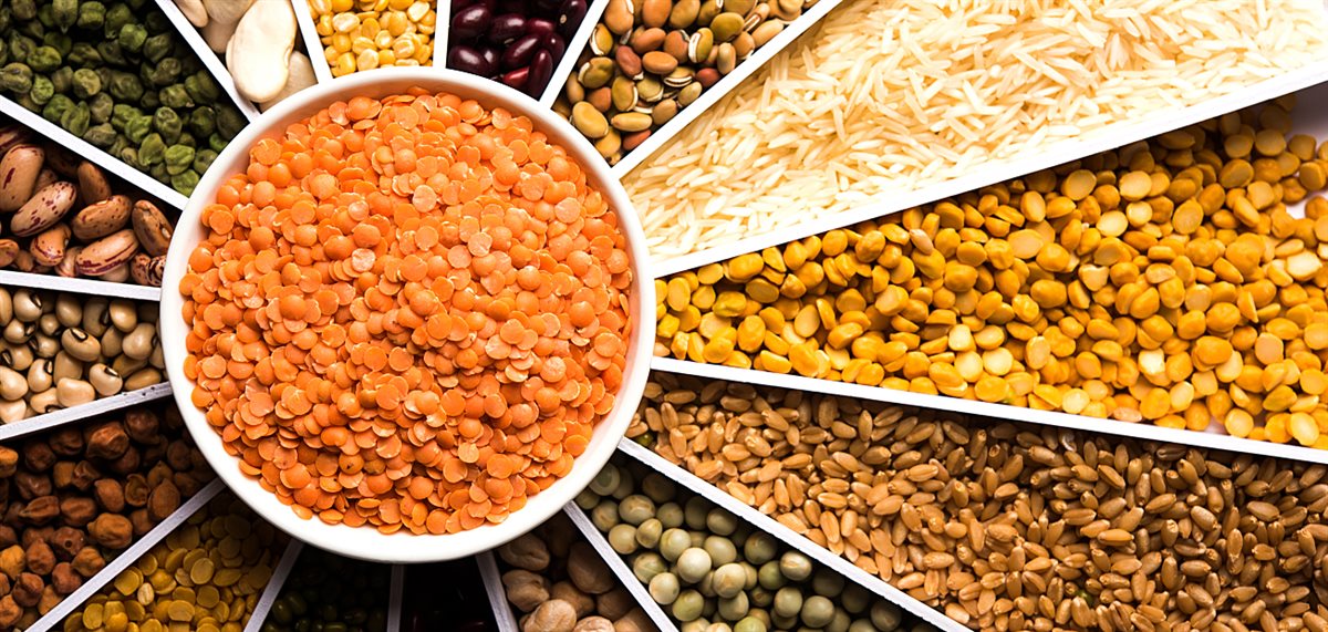 اسعار الفول والعدس اليوم، فيتو