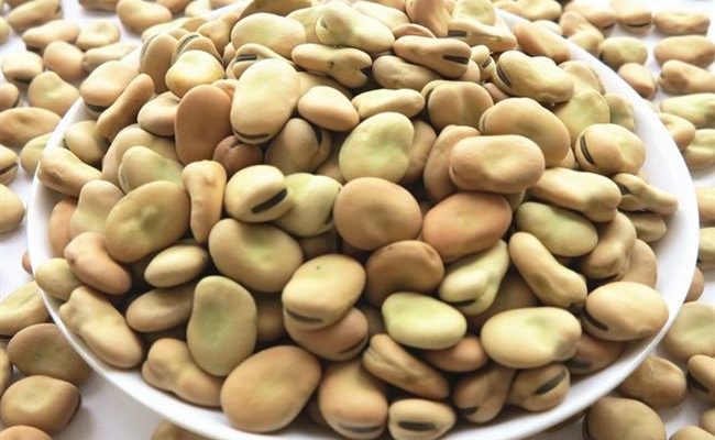 اسعار الفول اليوم، فيتو