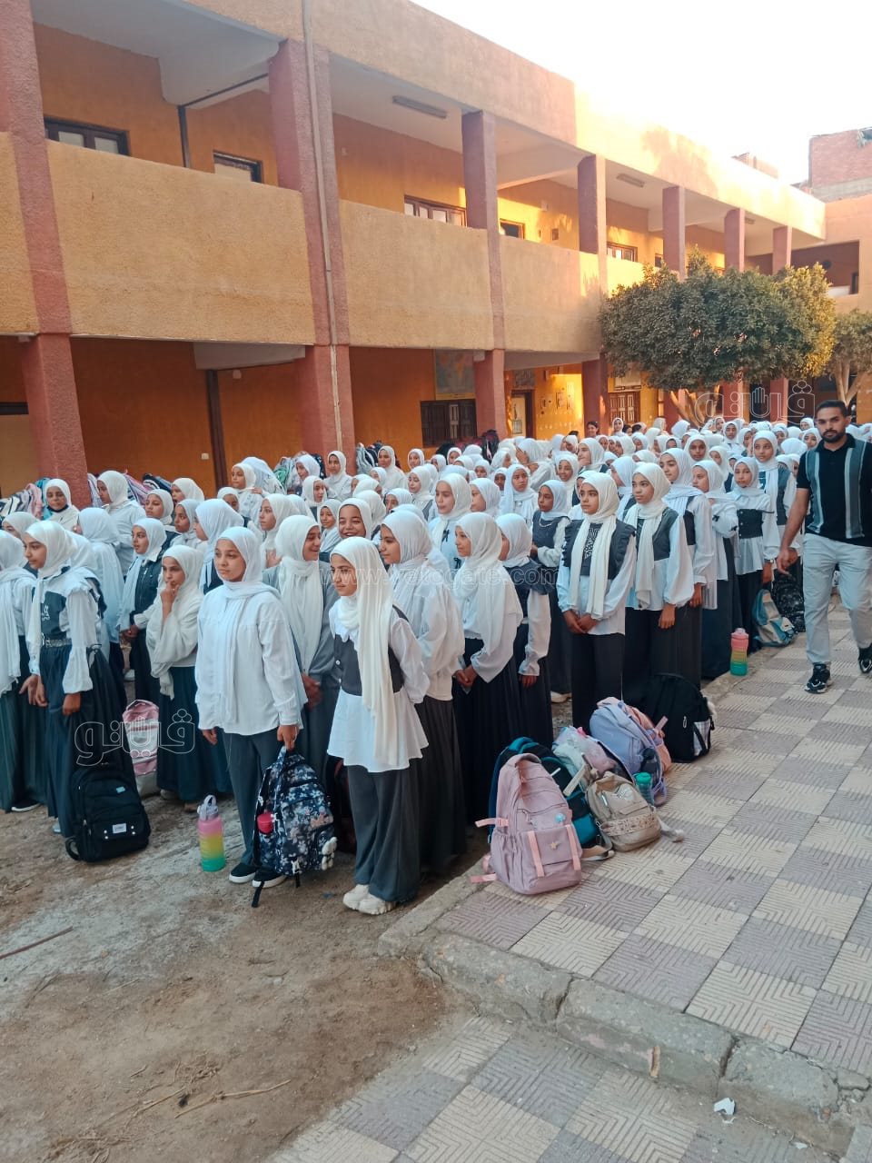 انتظام الدراسة في 184 مدرسة ببني سويف