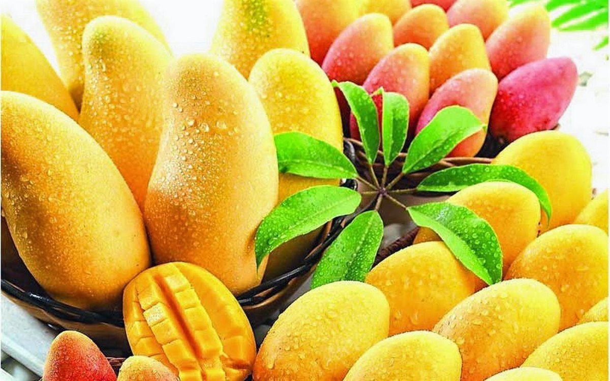 <strong>سعر المانجو اليوم في سوق العبور، فيتو</strong>