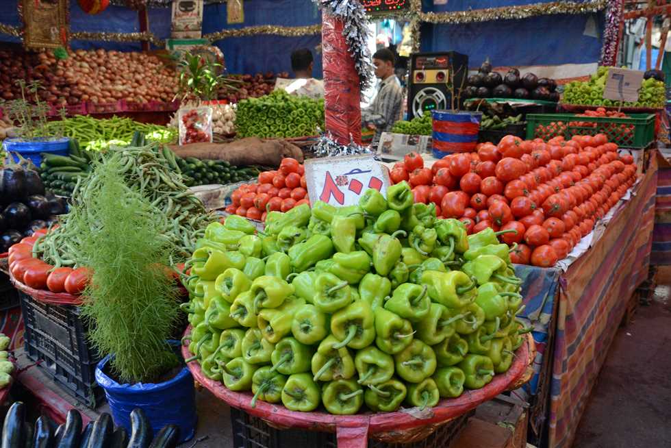 أسعار الطماطم اليوم السبت في الأسواق، فيتو