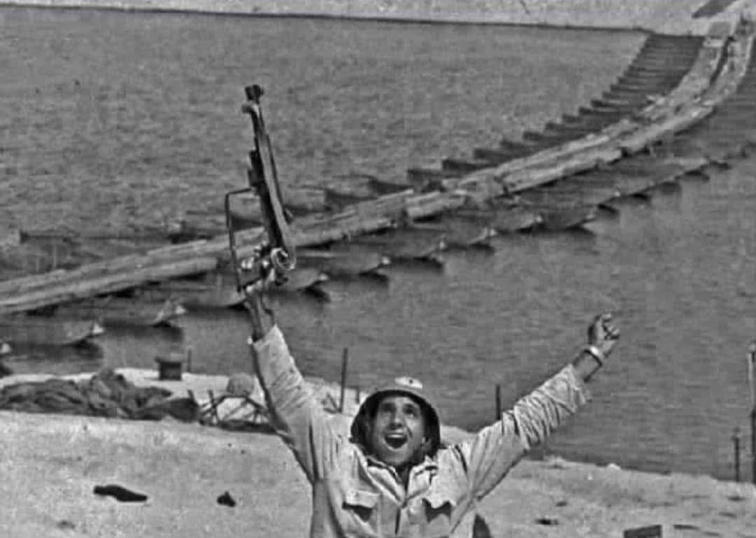 شوقى مصطفى