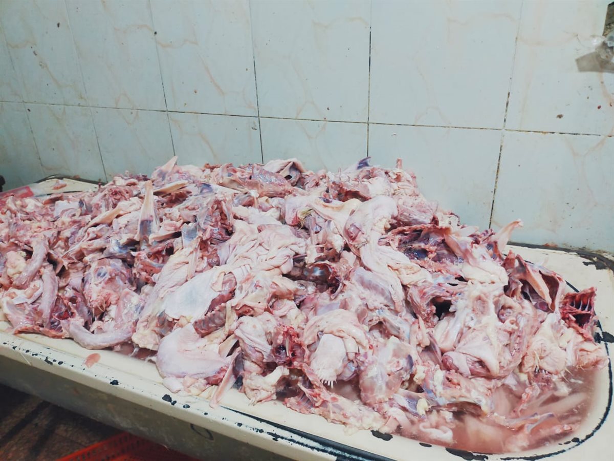 ضبط دواجن وكبده غيرصالحة للاستهلاك الادمي بالقليوبية،فيتو&nbsp;