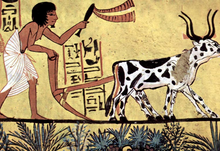 المصريين القدماء