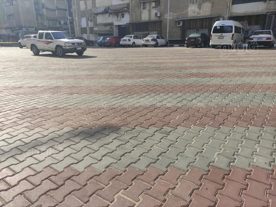 طفرة تطويرية بمدينة بورفؤاد، فيتو