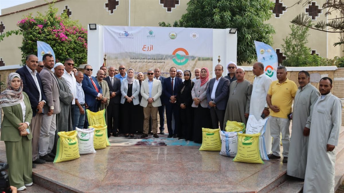 جانب من فاعليات المبادرة، فيتو