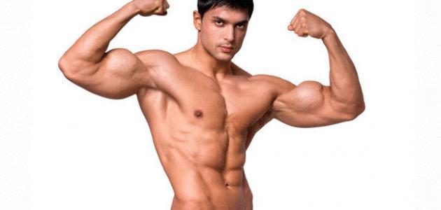 فوائد زيادة العضلات بالجسم&nbsp;