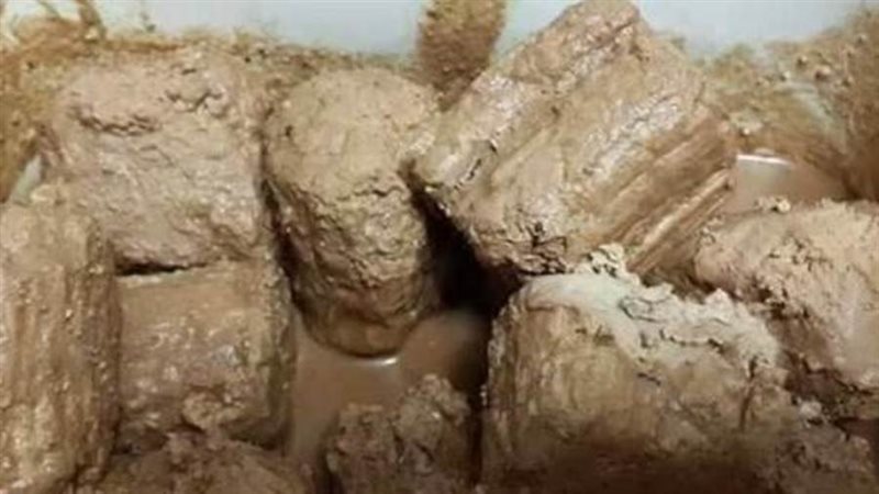 الجبن القديمة&nbsp;
