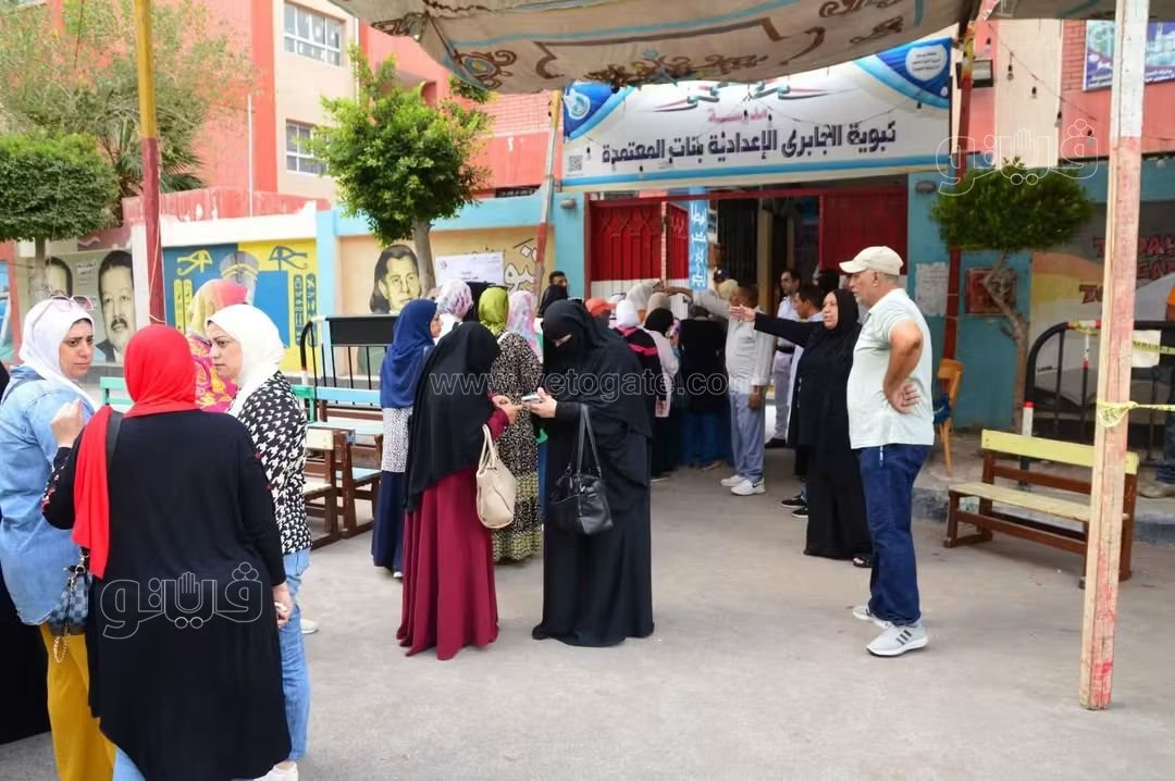سيدات بورفؤاد في انتخابات النواب، فيتو