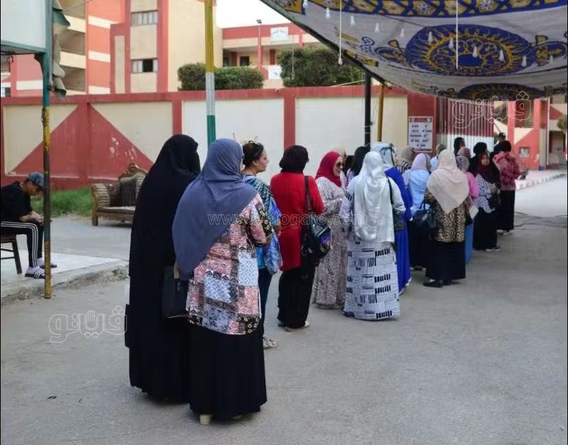 سيدات بورفؤاد في انتخابات النواب، فيتو