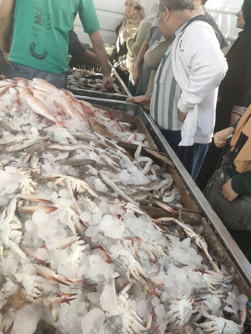 اسعار الاسماك بمحافظة الدقهلية