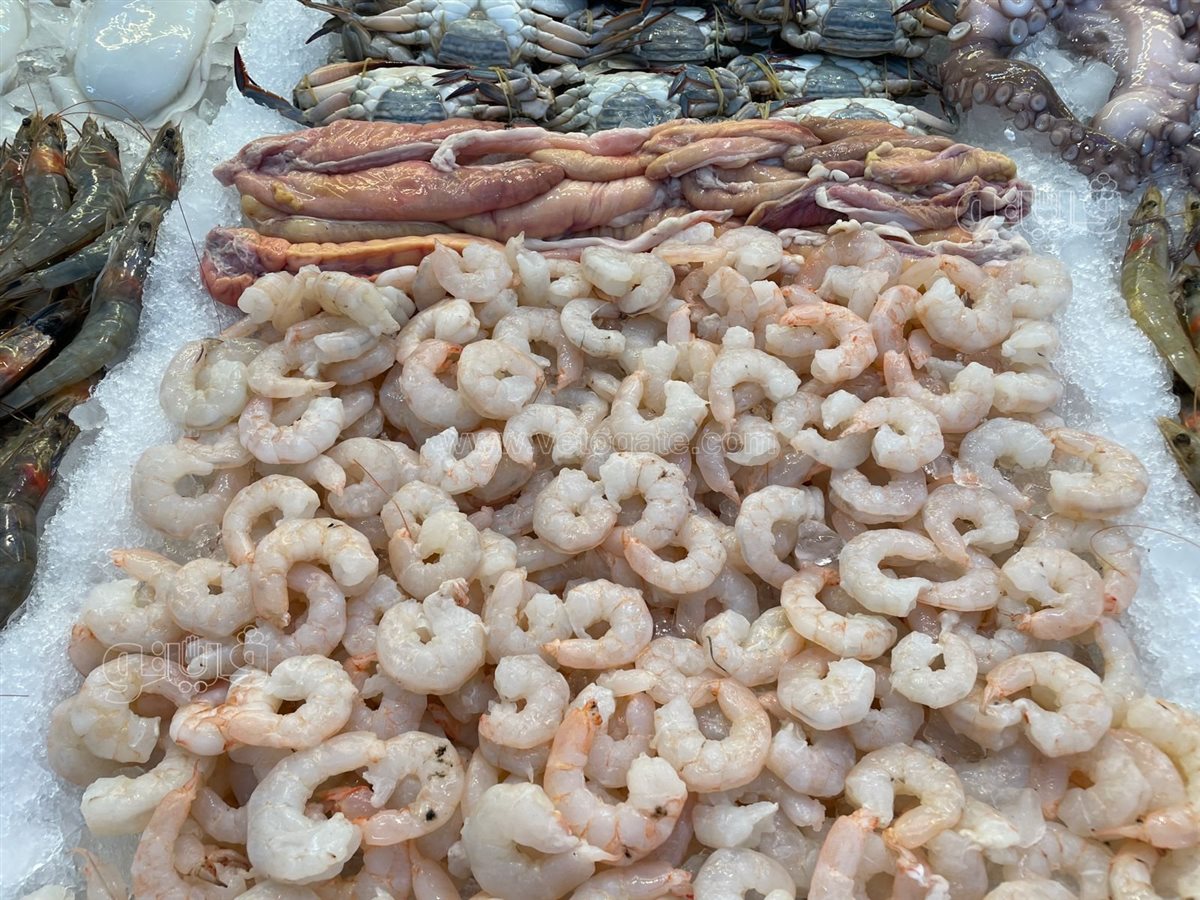 سعر السمك اليوم