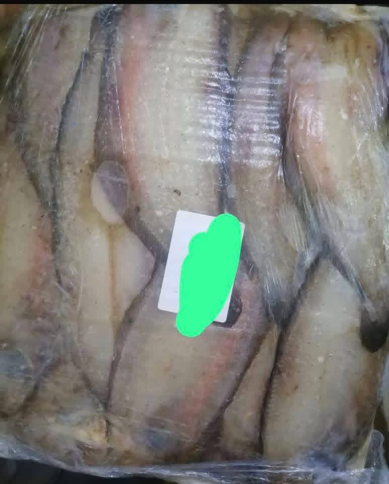 حملة من الطب البيطري تضبط كميات ضخمة من المنتجات البحرية