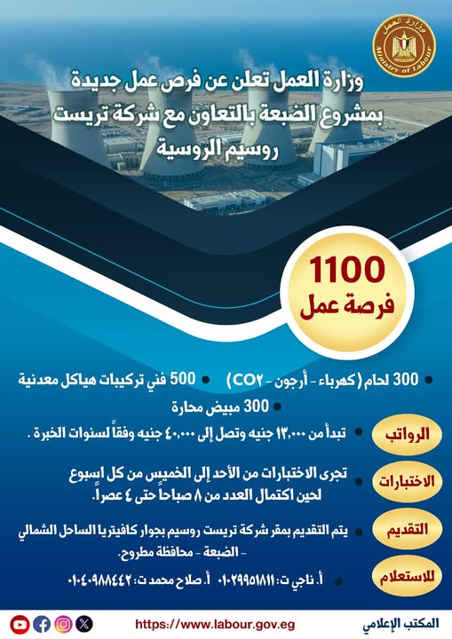 وزارة العمل , فيتو