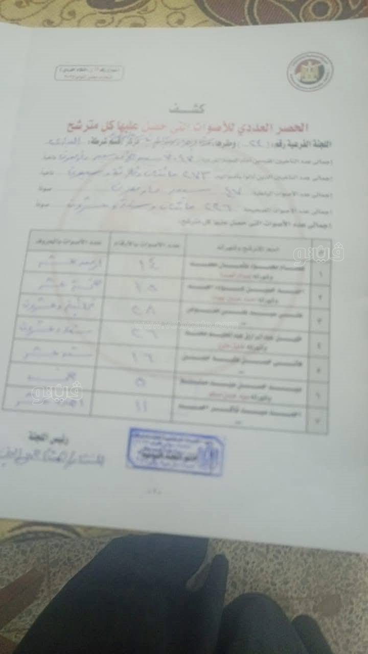 الحصر العددي لانتخابات الإعادة في الدائرة الثالثة بأسيوط (5)
