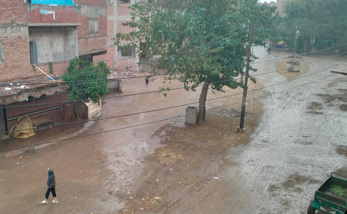 سقوط امطار غزيرة بالقليوبية، فيتو&nbsp;