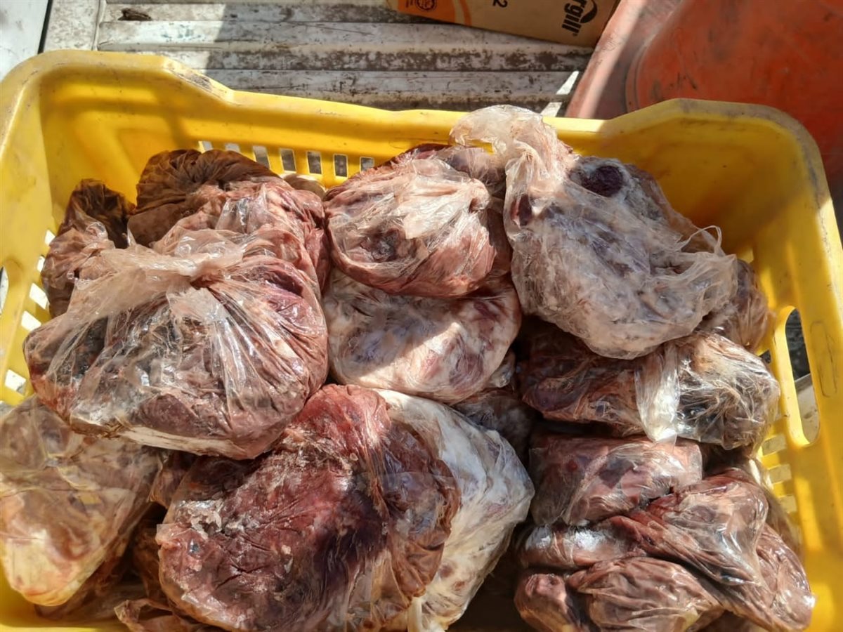 المضبوطات