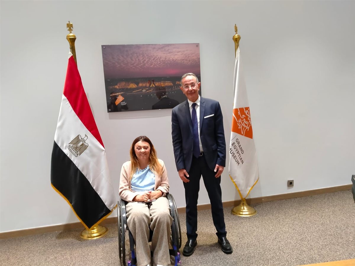 &nbsp;المجلس القومي للأشخاص ذوي الإعاقة،&nbsp;فيتو