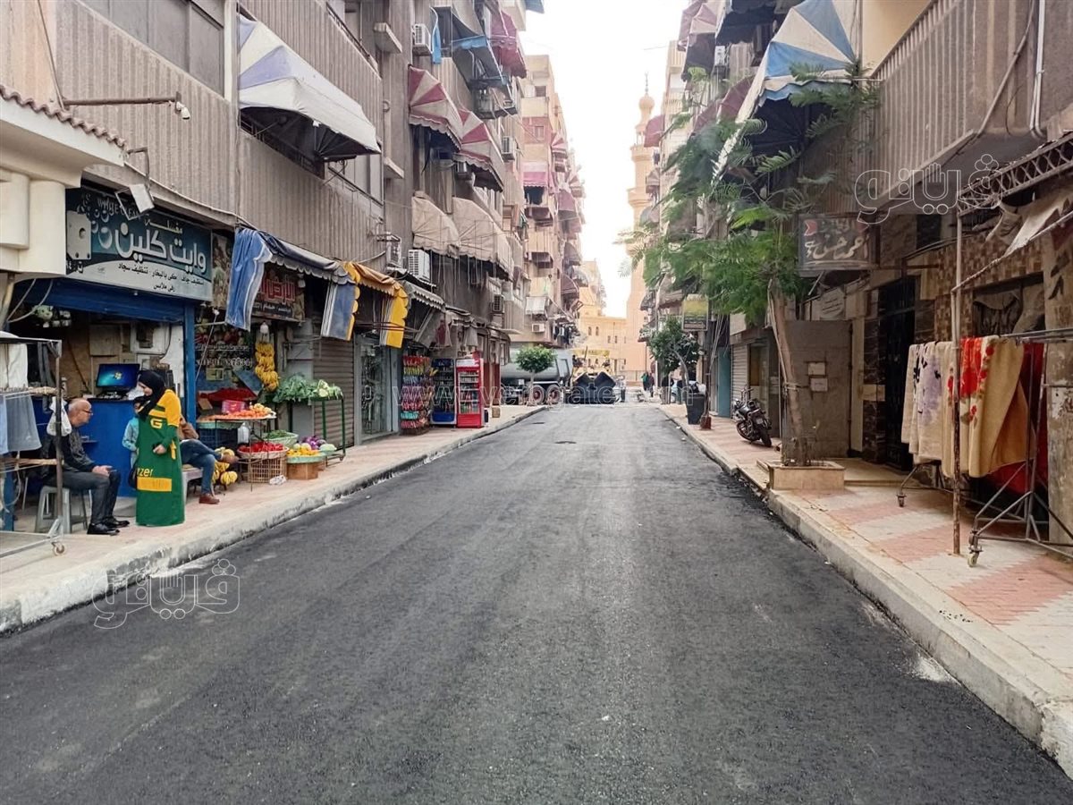 تطوير شارع مدينه بورفؤاد ، فيتو