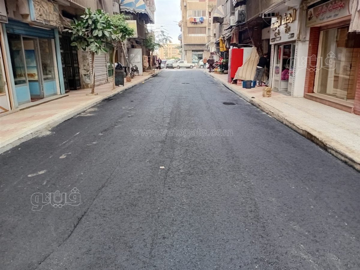 تطوير شارع مدينه بورفؤاد ، فيتو