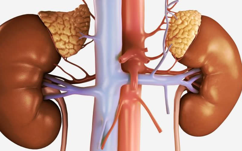 إجهاد الغدة الكظرية&nbsp;