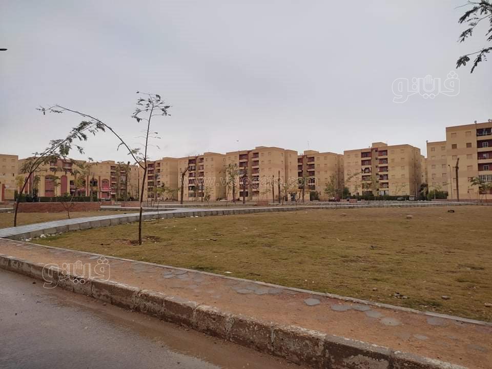 أمطار على القاهرة والجيزة (18)