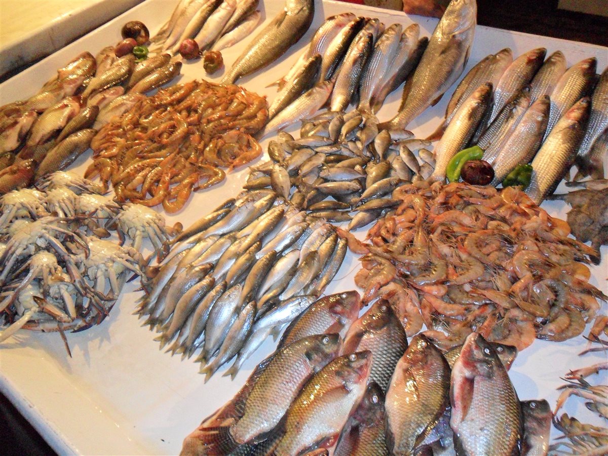 سعر السمك اليوم، فيتو