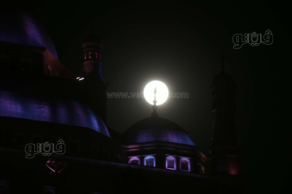 أول ظهور لـ قمر الذئب العملاق فى سماء السيدة عائشة (12)