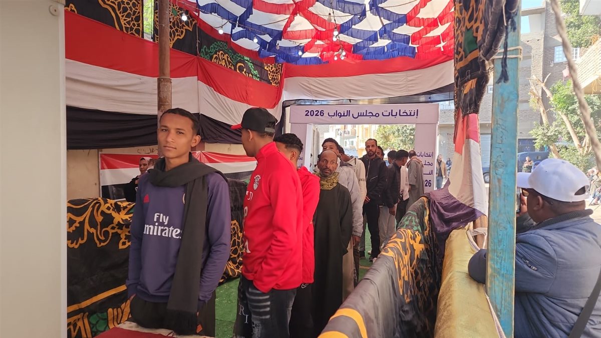 إنتخابات مجلس النواب 2025 في المنيا، فيتو&nbsp;