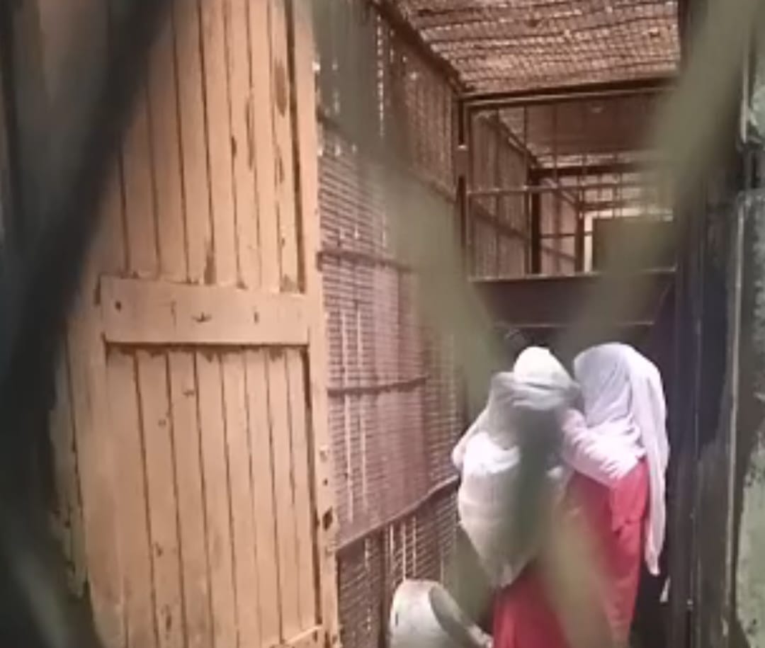 قاتلة زوجها واولادة في دلجا المنيا، فيتو&nbsp;