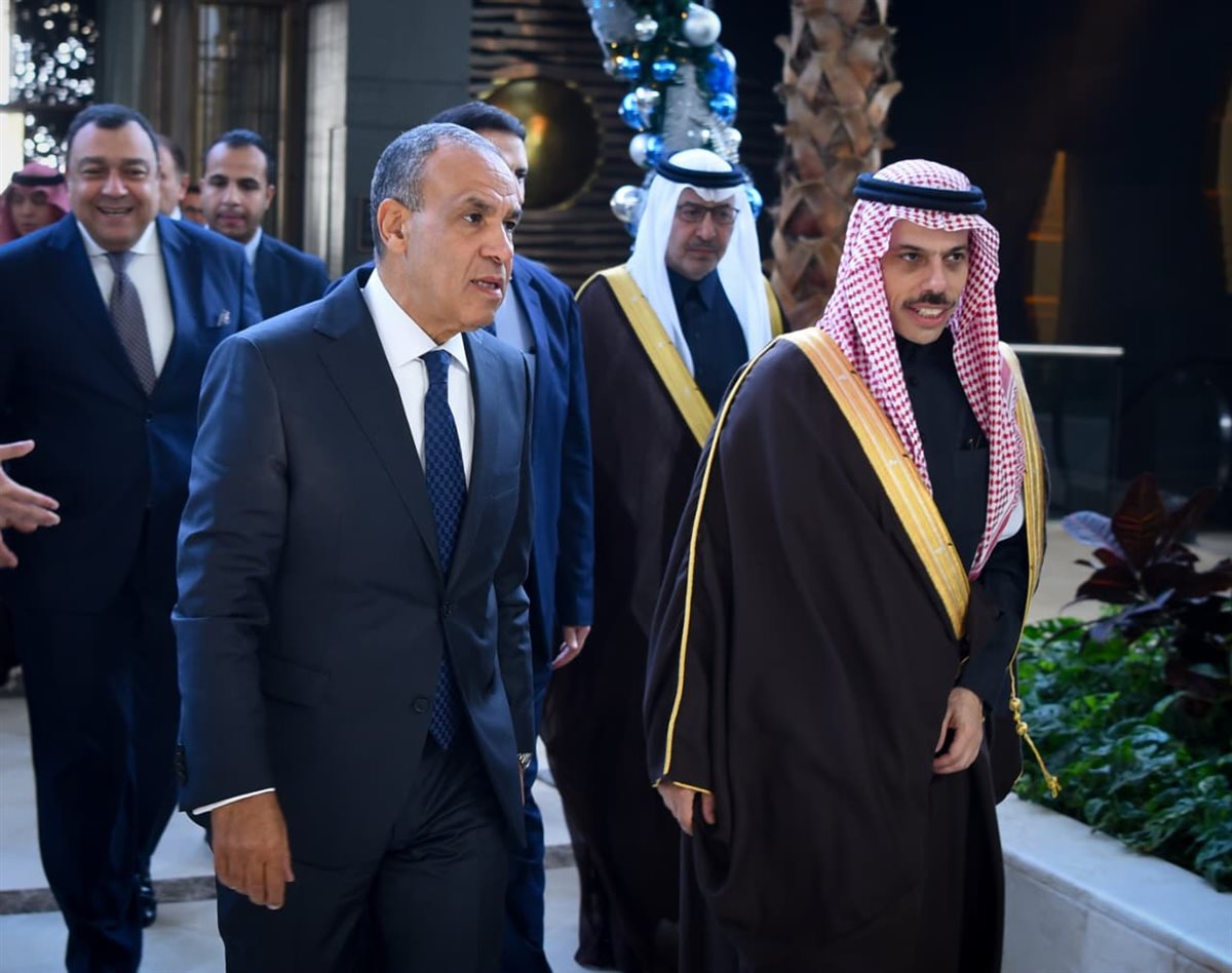 المباحثات الثنائية بين وزير الخارجية ونظيره السعودي