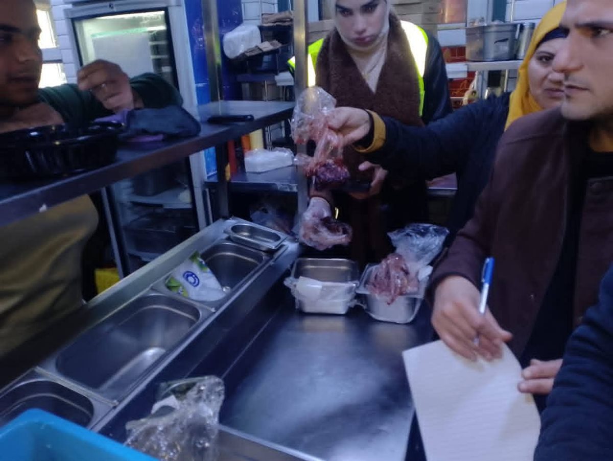 ضبط مطعمين بنها بهما دواجن غير صالحة،فيتو &nbsp;