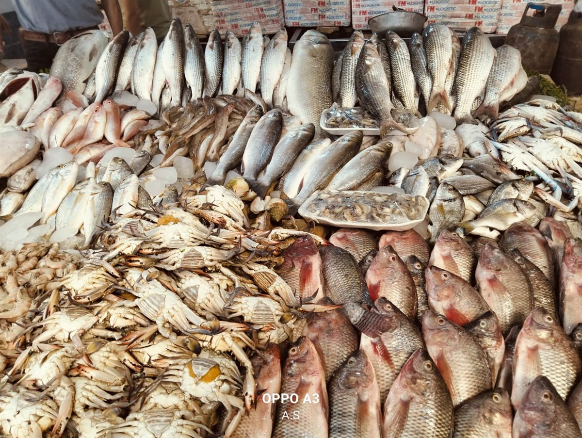 سوق الأسماك الحضري النموذجي بالإسماعيلية، فيتو