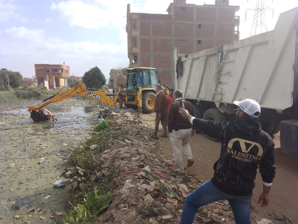 رفع حيوانات نافقة بترعة بالقليوبية، فيتو