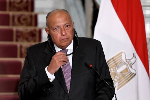 سامح شكري&nbsp;