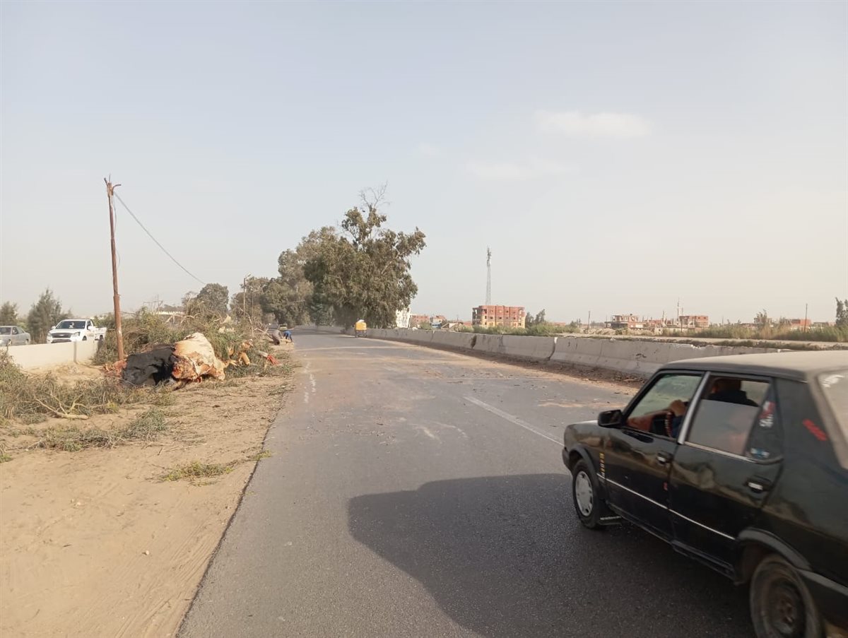 سقوط شجرة بطريق الإسماعيلية الزراعي،فيتو