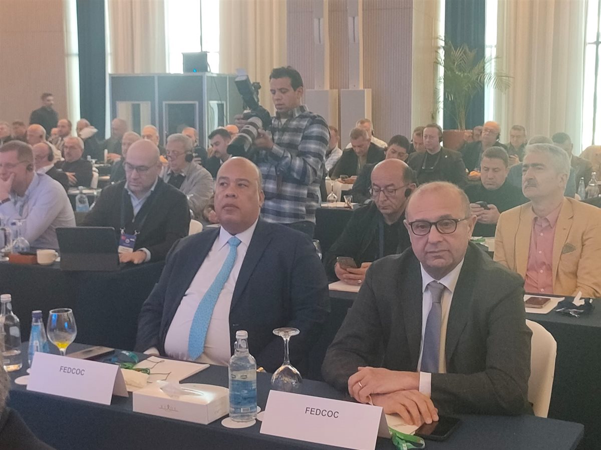 اجتماع الغرف المصرية التركية، فيتو