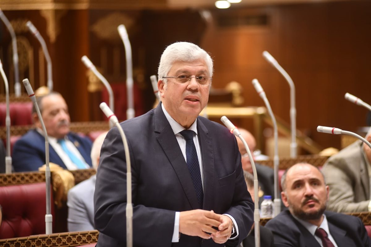 الدكتور أيمن عاشور أمام جلسة الشيوخ&nbsp;