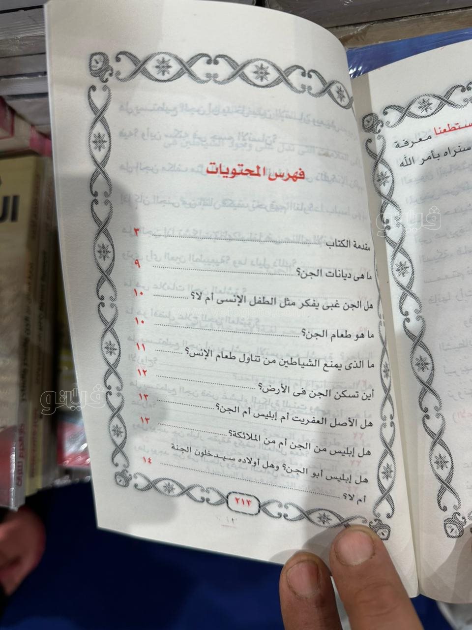 معرض القاهرة الدولي للكتاب، فيتو