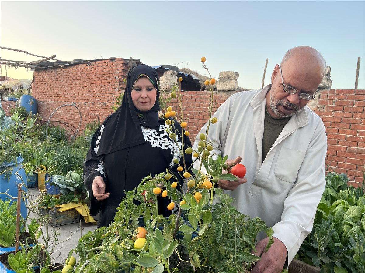 زوجان بالبحيرة يحولان سطح منزلهم لجنة، فيتو