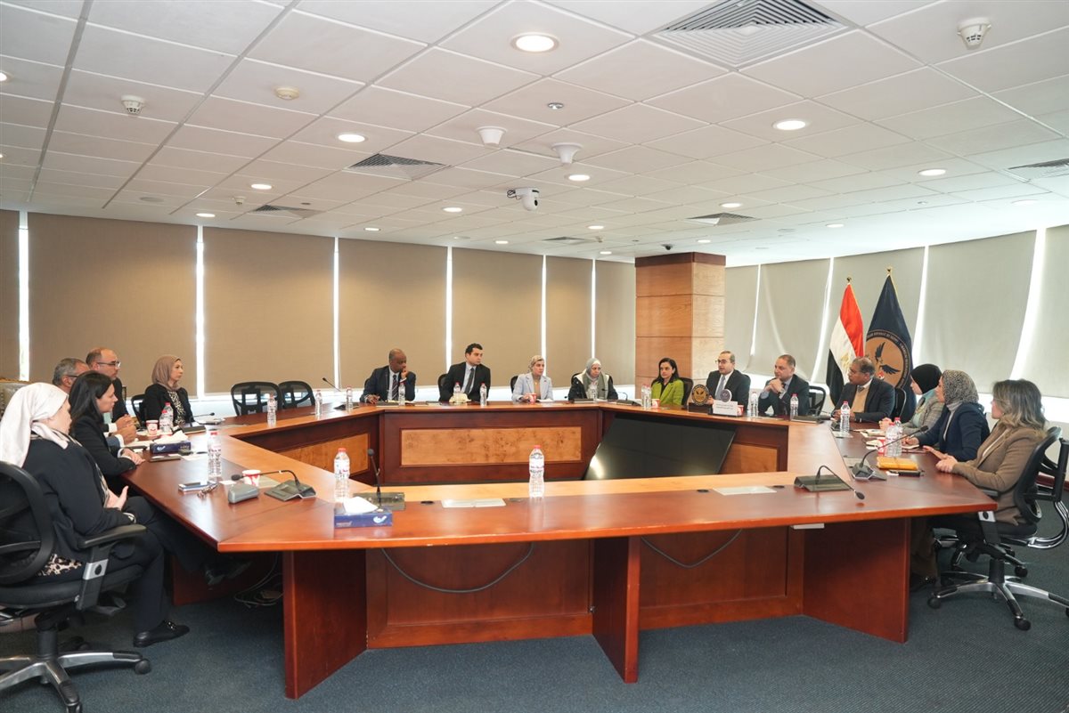 الرقابة المالية والبنك المركزي يناقشان تعزيز الشمول المالي ودعم تمويل المشروعات الصغيرة