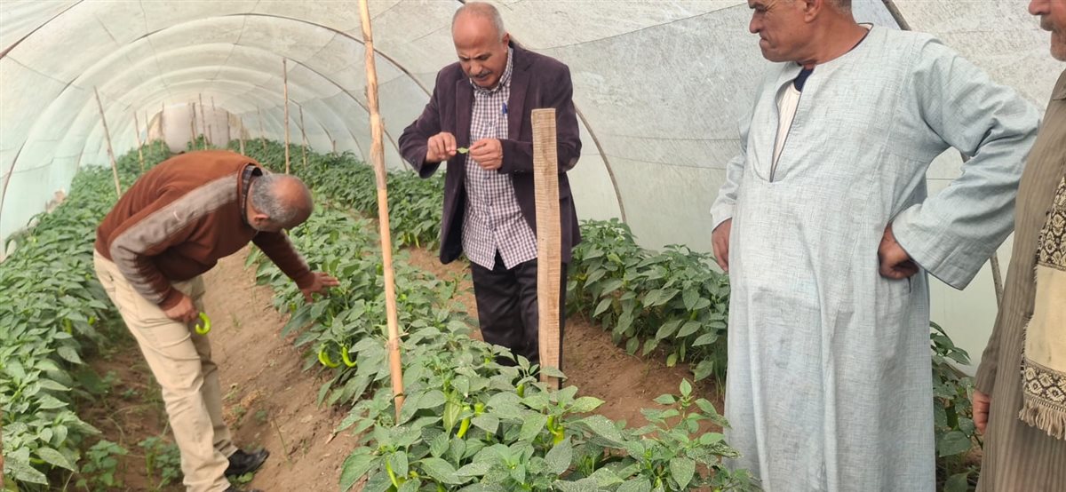 جانب من الجولات الحقلية،فيتو